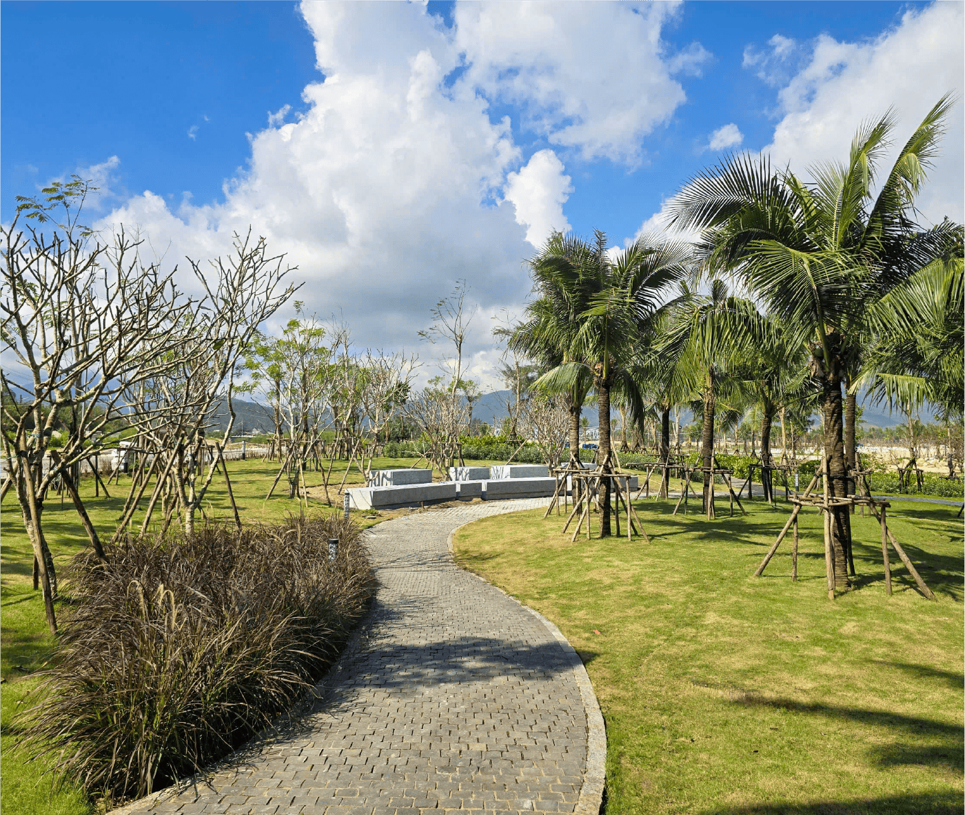 TIẾN ĐỘ DỰ ÁN tháng 05 NĂM 2025